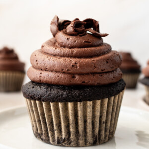 This is the Ultimate Chocolate Cupcake Recipe, with a rich, moist chocolate cake with a tender crumb and a velvet chocolate frosting. These are the best chocolate cupcakes you'll ever taste, with a deep cocoa flavor that melts in your mouth. Not only are they delicious, but this easy chocolate cupcake recipe takes just minutes to prepare. If you are looking for moist chocolate cupcakes that are 5-star rated, this is the recipe for you!