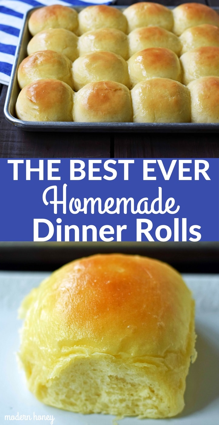 The Best Homemade Dinner Rolls – Modern Honey