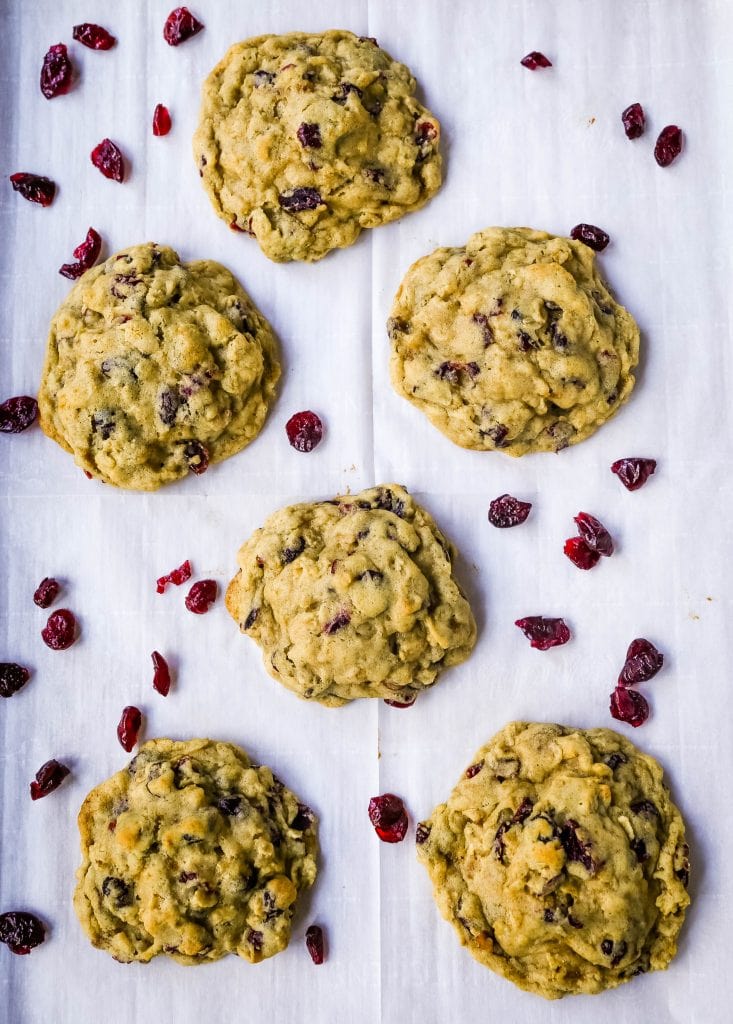 Cranberry Oatmeal Cookies – Modern Honey