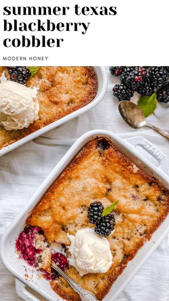 Blackberry Cobbler – Modern Honey