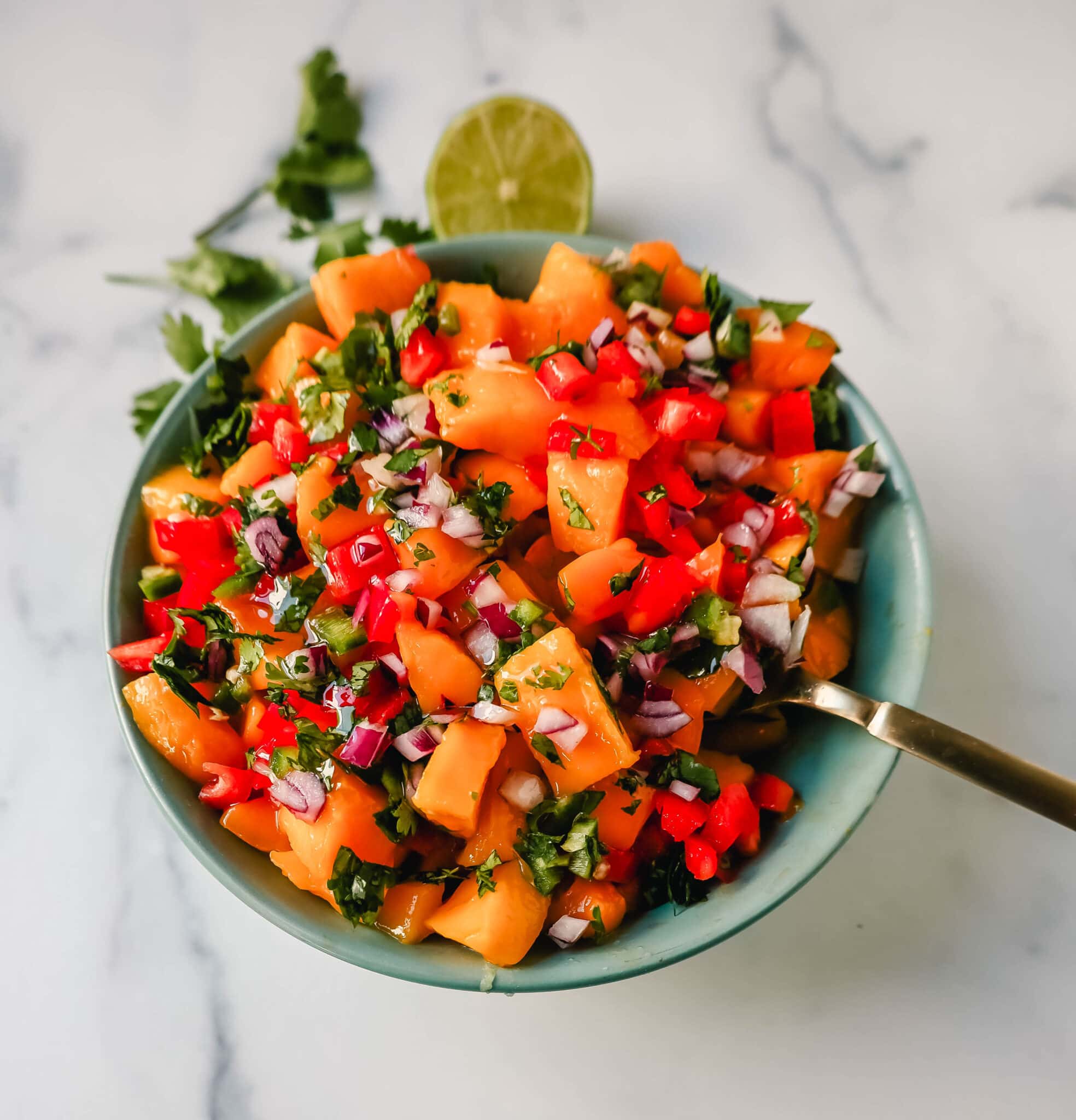 Fresh Mango Salsa – Modern Honey