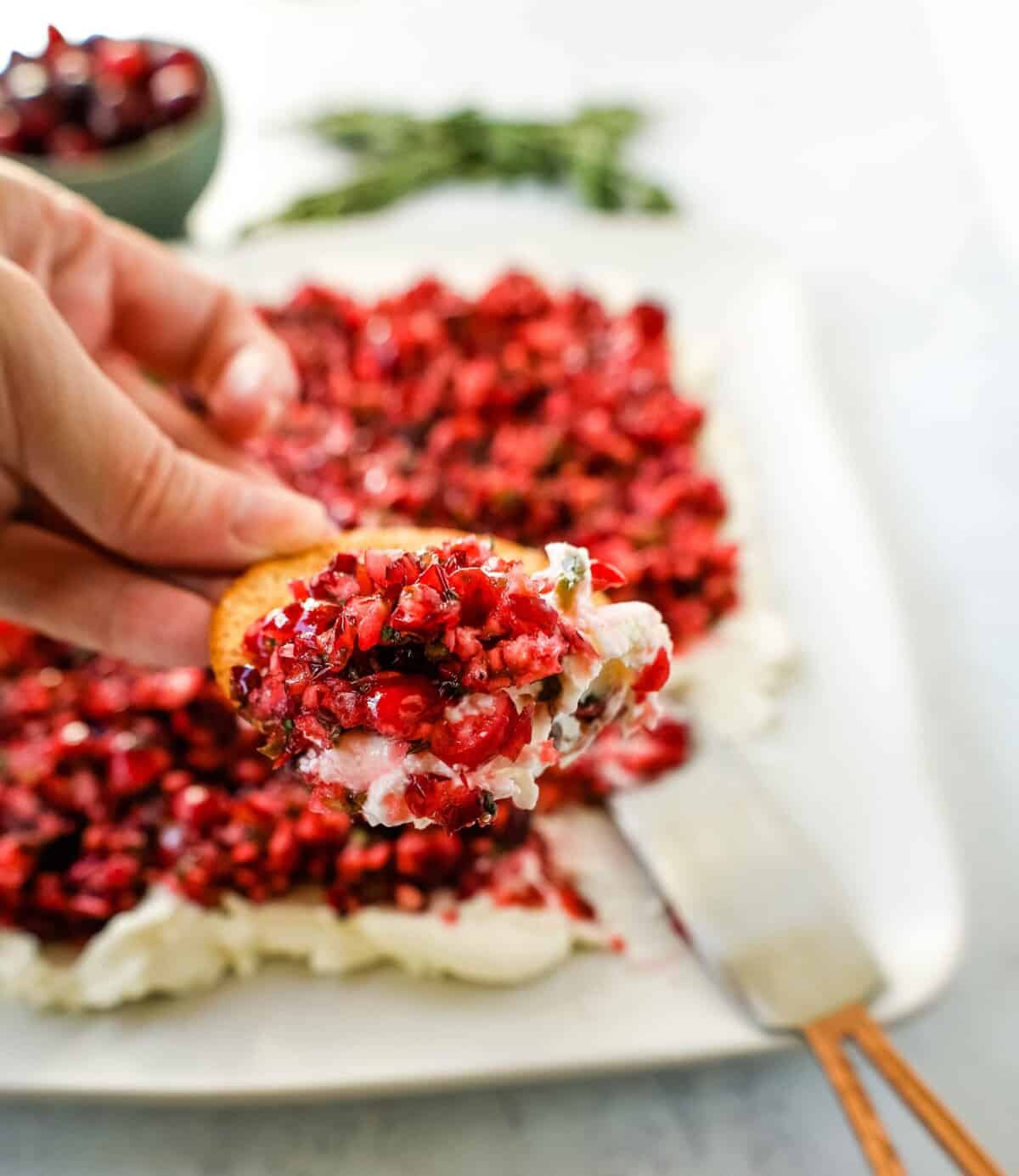 Cranberry Jalapeno Cream Cheese Dip – Modern Honey