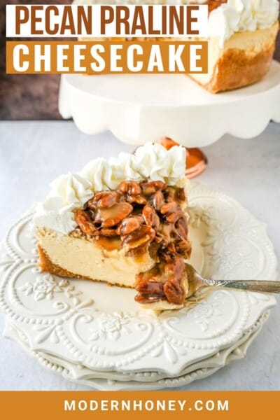 Southern Pecan Praline Cheesecake – Modern Honey