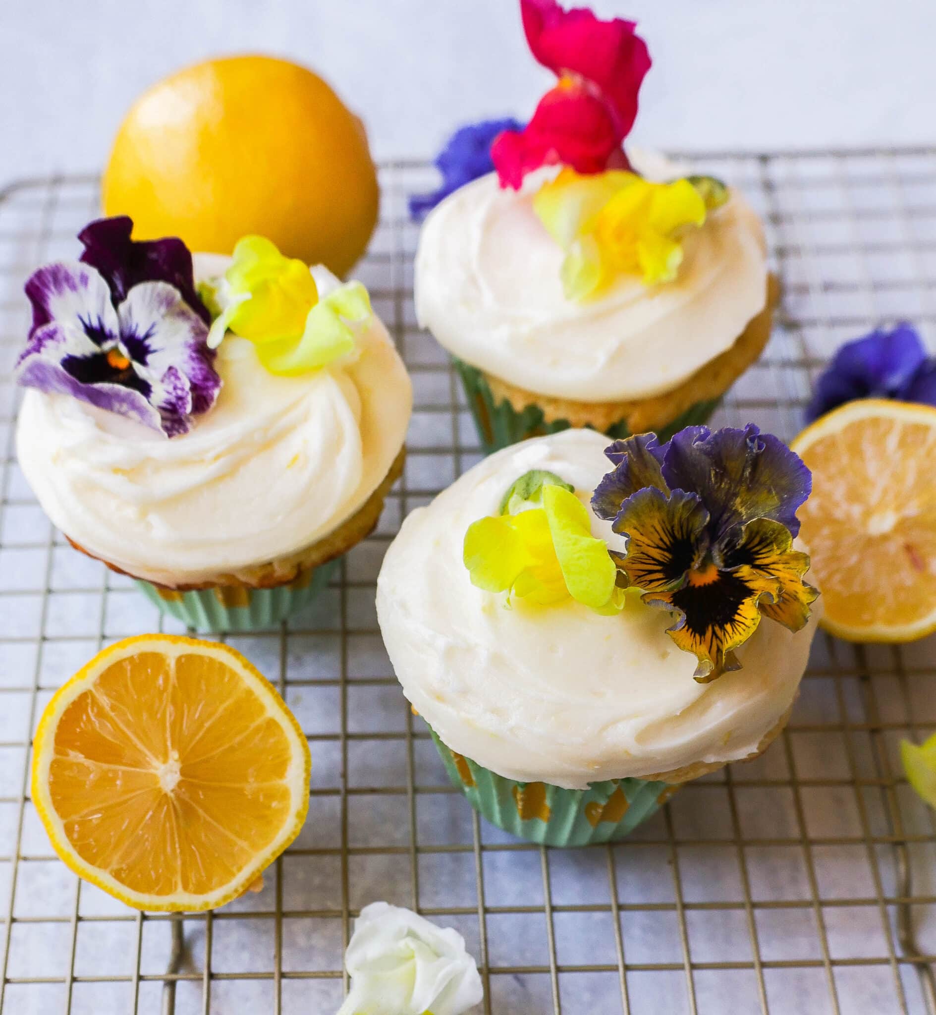 Lemon Cupcakes Modern Honey   Lemon Cupcakes 8 1889x2048 