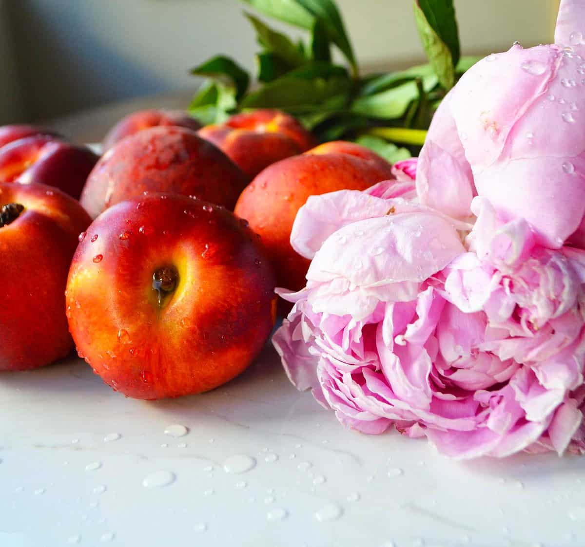 Nectarines and Peonies for a homemade nectarine cobbler