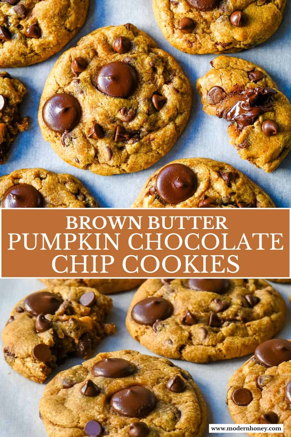 These Brown Butter Pumpkin Chocolate Chip Cookies are made with browned butter, brown sugar, pure pumpkin puree, pumpkin spice, and semisweet chocolate chips. These are the perfect chewy pumpkin chocolate chip cookie recipe!