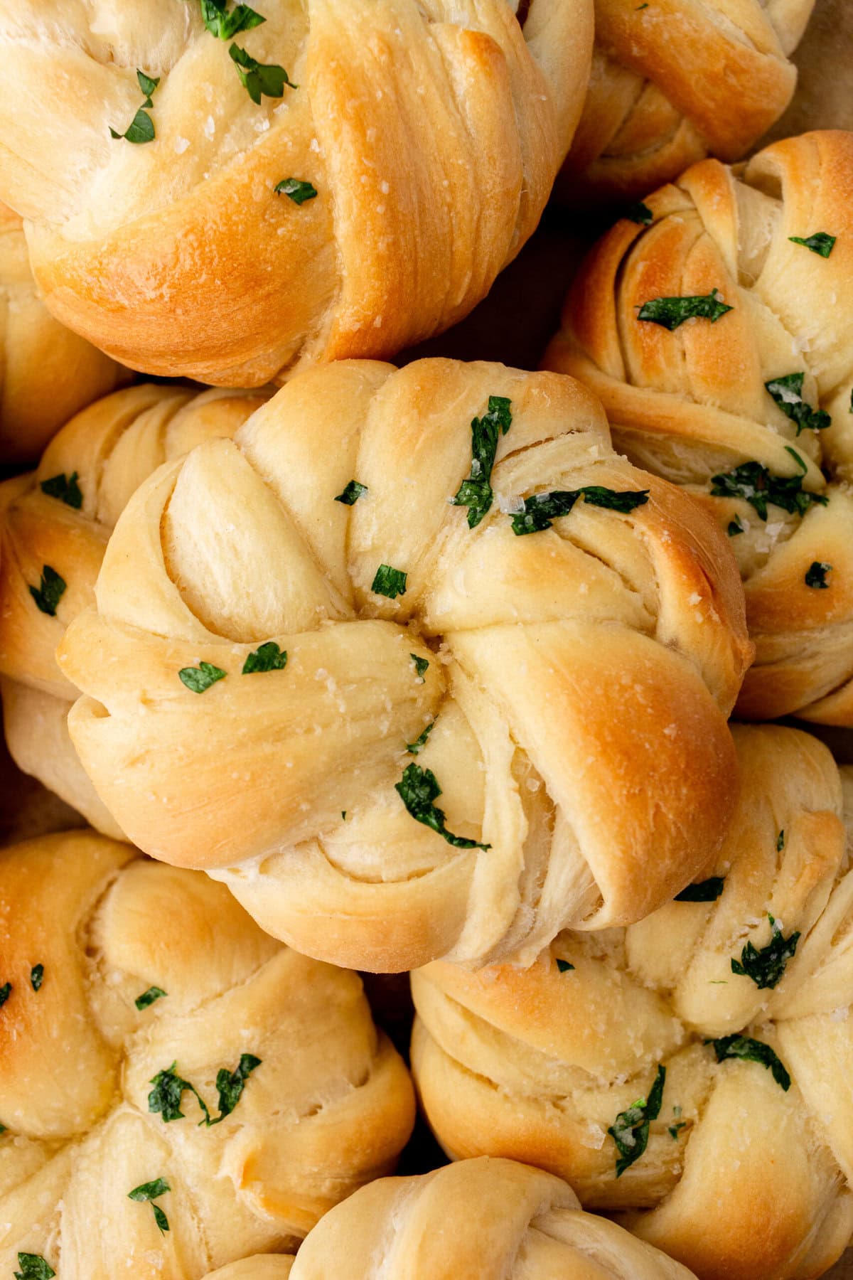 Buttery, fluffy homemade rolls tied in knot and brushed with butter. The perfect knotted rolls recipe!