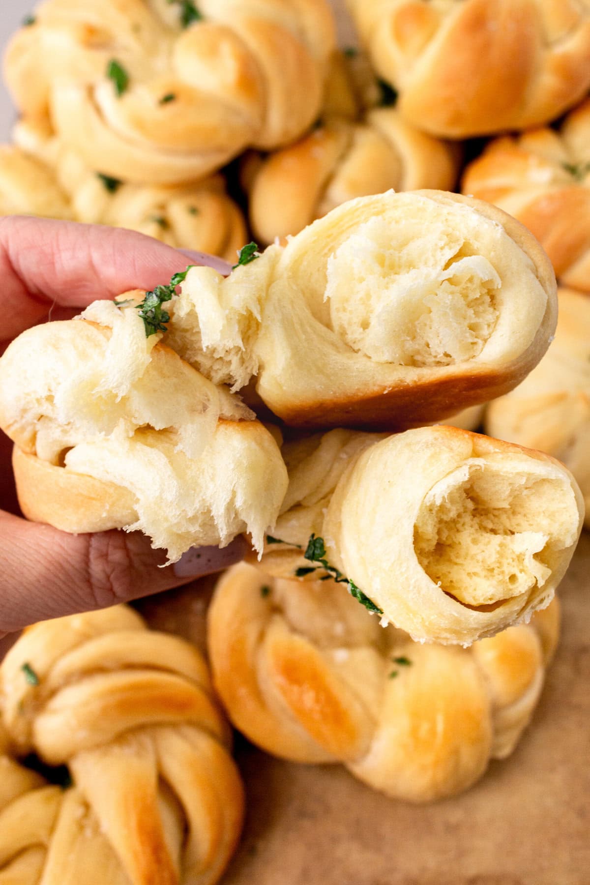 Buttery, fluffy homemade rolls tied in knot and brushed with butter. The perfect knotted rolls recipe!