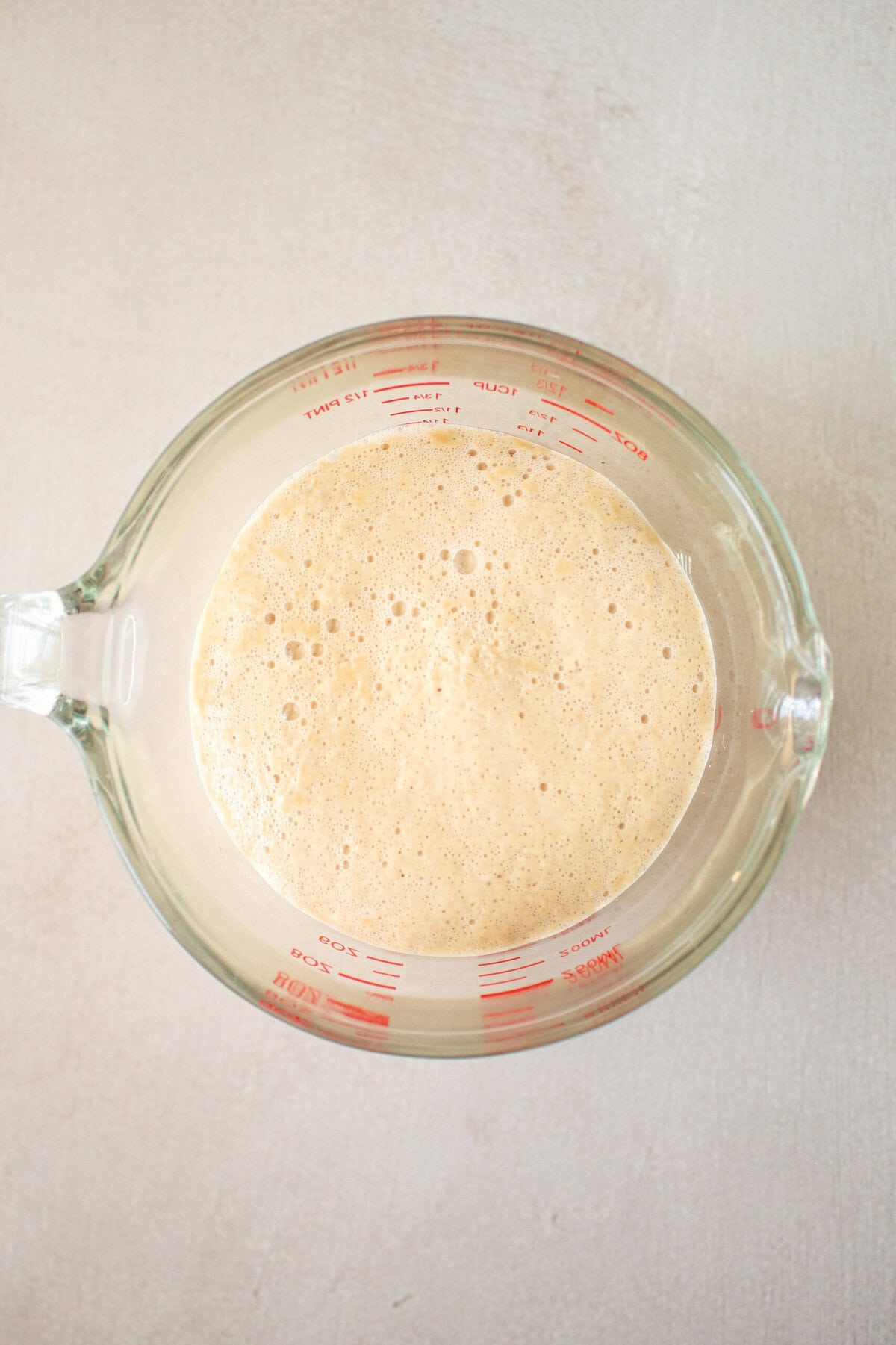 Knotted Rolls yeast proofing in a bowl