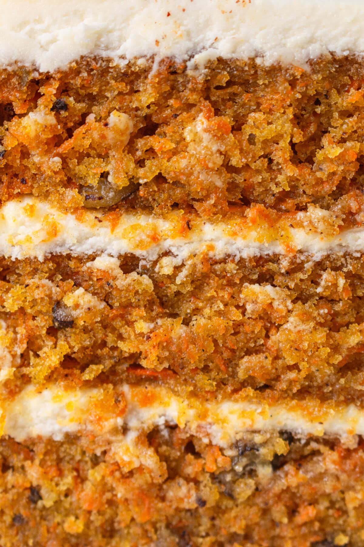 The Best Carrot Cake Recipe. A moist, tender homemade carrot cake covered in a sweet cream cheese frosting. The perfect carrot cake recipe!