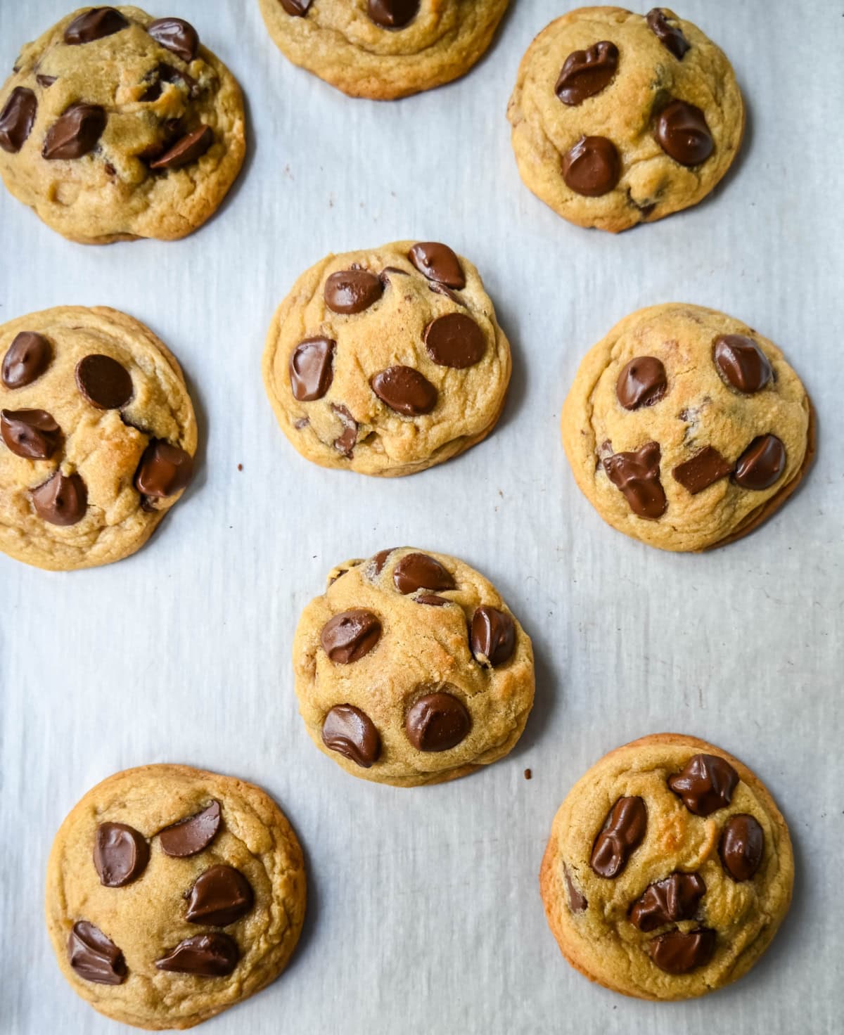 Chocolate Chip Cookies made with expensive brand ingredients