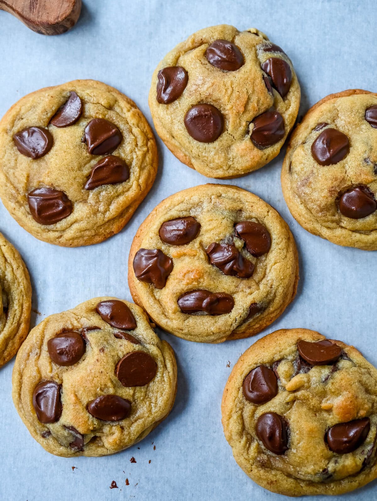 Do ingredients matter? Brand vs Generic and Expensive vs Cheap Ingredients in chocolate chip cookies. This is a comprehensive study to see if ingredients matter and make a difference in baking chocolate chip cookies. We take generic vs brand ingredients to see how it affects baking cookies. Does cheap vs expensive ingredients make a difference in cookies?