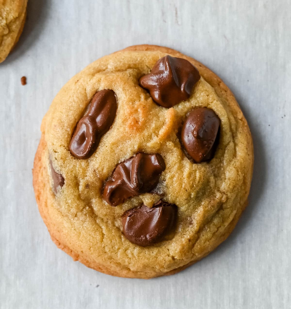 Chocolate Chip Cookie made with expensive ingredients. Do you ingredients matter? Brand vs Generic and Expensive vs Cheap Ingredients in chocolate chip cookies. This is a comprehensive study to see if ingredients matter and make a difference in baking chocolate chip cookies. We take generic vs brand ingredients to see how it affects baking cookies. Does cheap vs expensive ingredients make a difference in cookies?