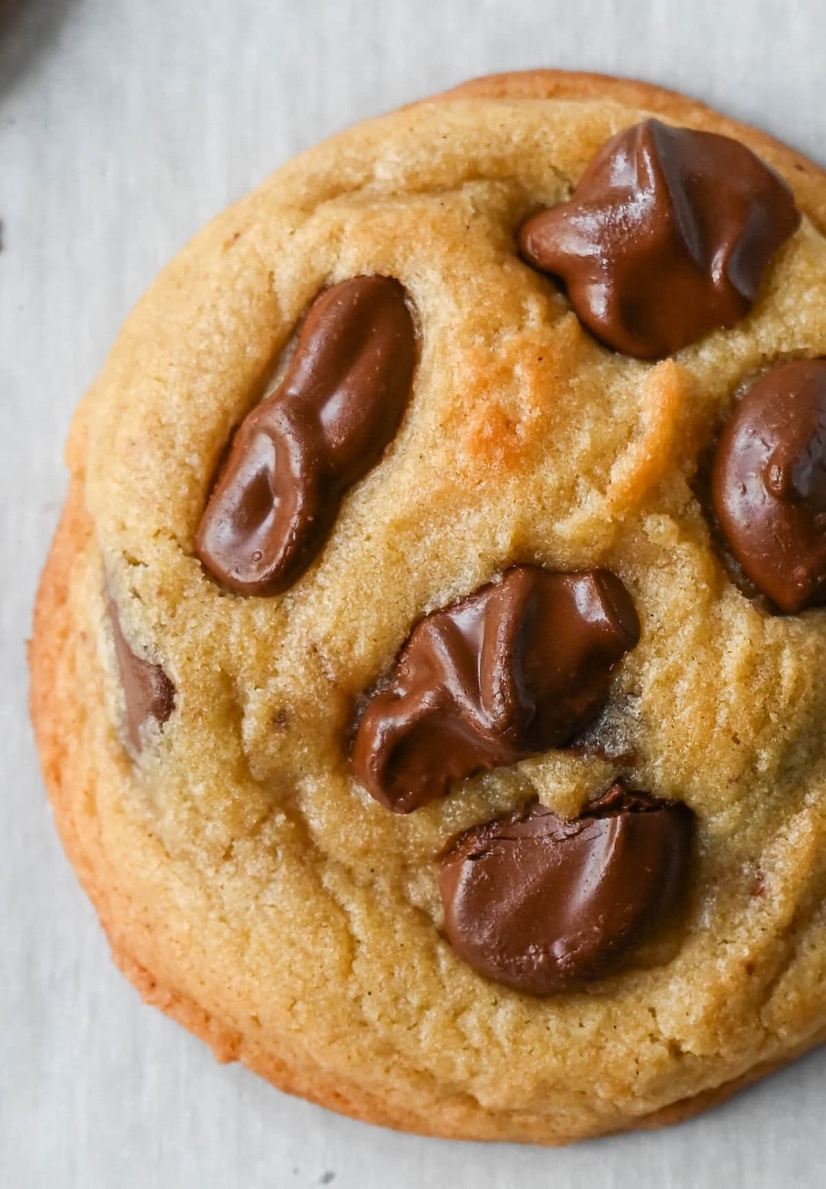 Chocolate Chip Cookie Recipe made with expensive brand ingredients. Chocolate Chip Cookie made with Guittard Super Cookie Chips.