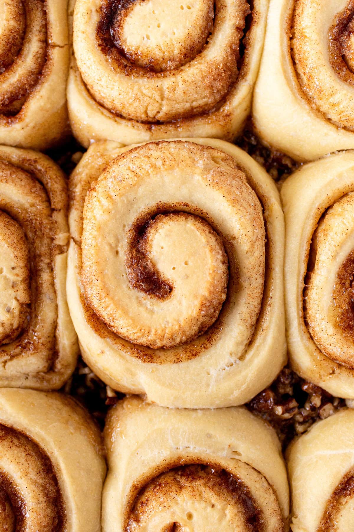 Sticky buns rising in a pan and ready to bake in the oven.