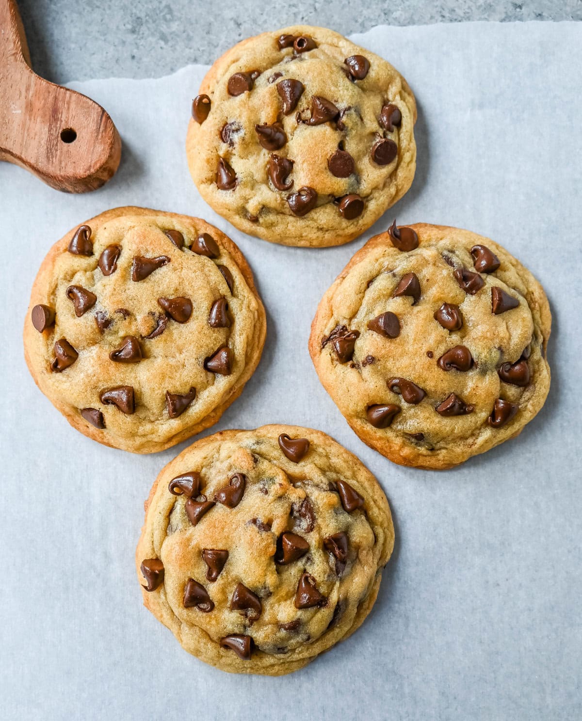 Chocolate Chip Cookies made with generic inexpensive ingredients. Do ingredients matter? Brand vs Generic and Expensive vs Cheap Ingredients in chocolate chip cookies. This is a comprehensive study to see if ingredients matter and make a difference in baking chocolate chip cookies. We take generic vs brand ingredients to see how it affects baking cookies. Does cheap vs expensive ingredients make a difference in cookies?