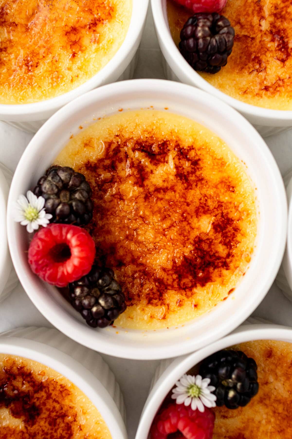 A creamy, silky vanilla custard topped with crisp sugar crust is one of the most popular desserts at restaurants for good reason. With its silky custard base and crackly caramelized sugar topping, it’s a showstopper that’s surprisingly easy to make at home. 